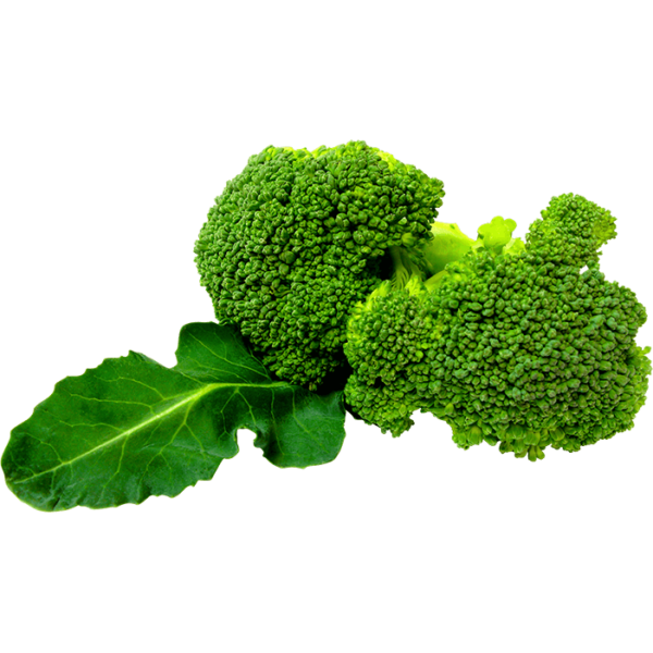 Broccoli