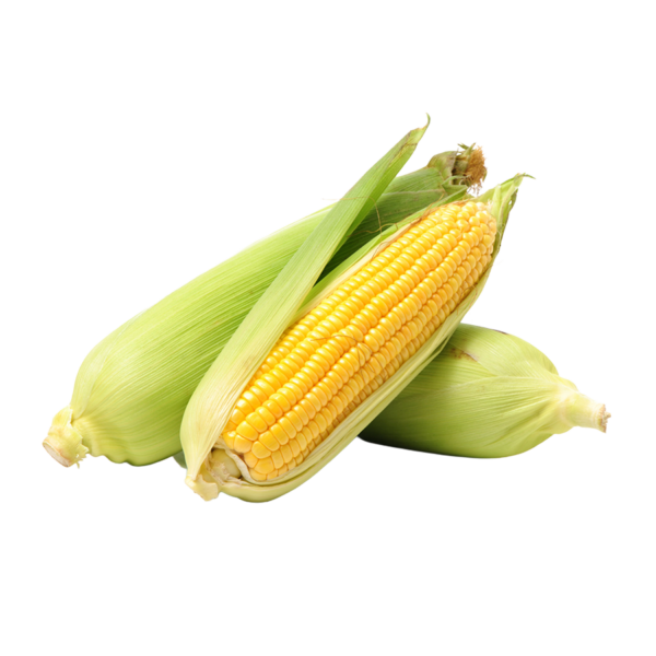 Sweet Corn