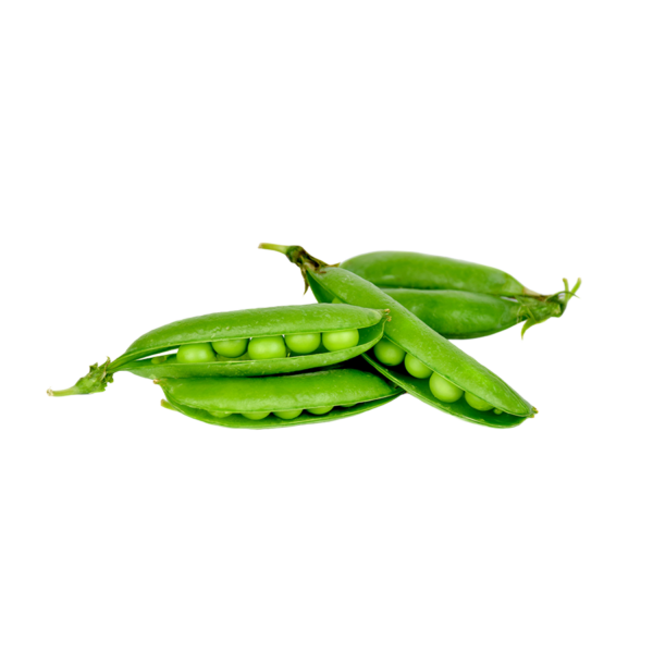 Broad Beans